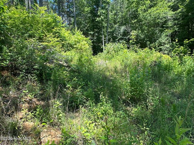 Lt 41 & 42 Smokey Hollow Drive, Murphy, NC 28906