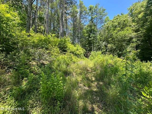 Lt 41 & 42 Smokey Hollow Drive, Murphy, NC 28906