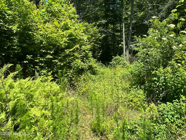 Lt 41 & 42 Smokey Hollow Drive, Murphy, NC 28906