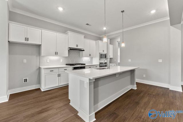 7529 Speckle Belly Boulevard, Owens Cross Roads, AL 35763