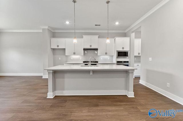 7529 Speckle Belly Boulevard, Owens Cross Roads, AL 35763