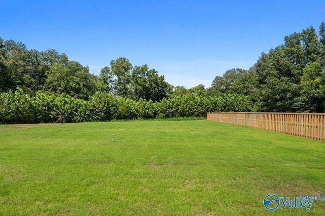 7529 Speckle Belly Boulevard, Owens Cross Roads, AL 35763