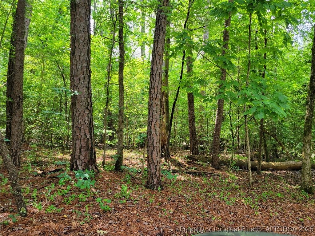 520 Kirk Court, Sanford, NC 27332