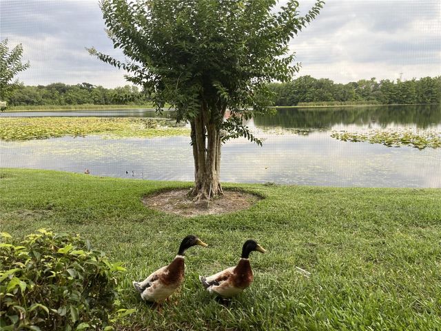 155 N PEARL LAKE CAUSEWAY 104, Altamonte Springs, FL 32714