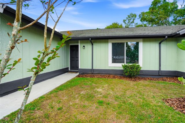 23255 CHELSEA LOOP, Land O Lakes, FL 34639