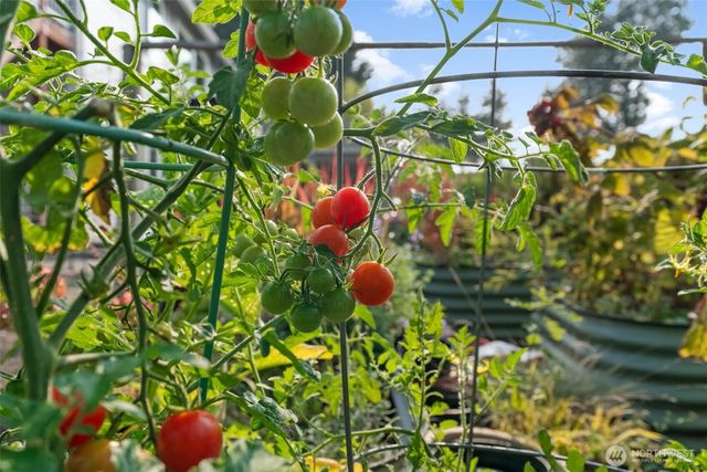 460 E Stretch Island Road S, Grapeview, WA 98546