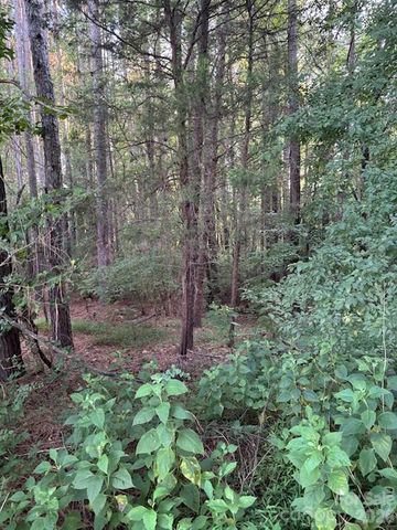 Lot 1 Mathis Church Road, Catawba, NC 28609