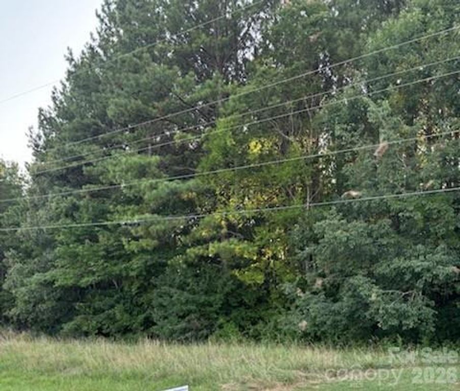 Lot 1 Mathis Church Road, Catawba, NC 28609