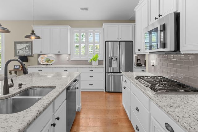 227 Killdeer Court, Mount Pleasant, SC 29464