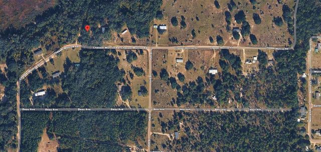311 CHESSER MONROE ROAD, Hawthorne, FL 32640