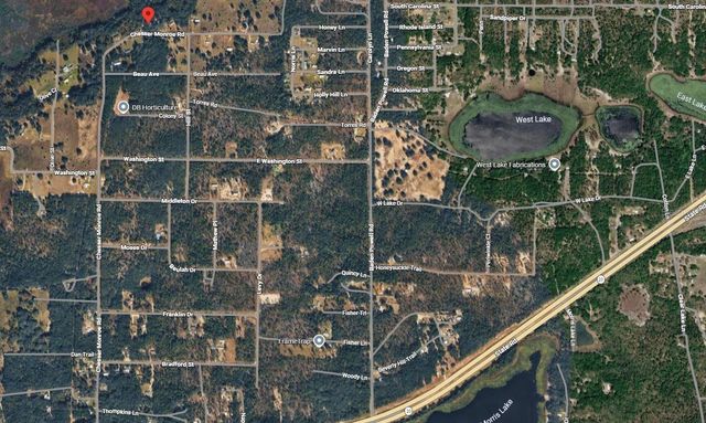 311 CHESSER MONROE ROAD, Hawthorne, FL 32640