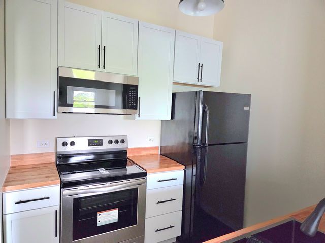 1313 Cunat Court 3F, Lake In The Hills, IL 60156