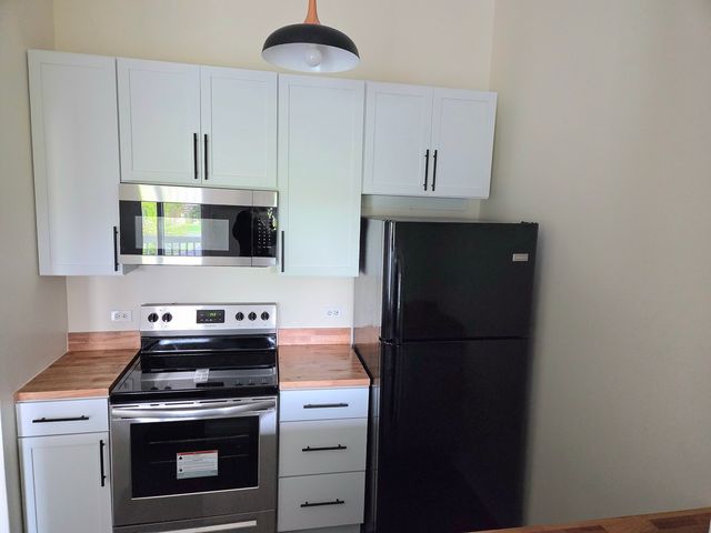 1313 Cunat Court 3F, Lake In The Hills, IL 60156