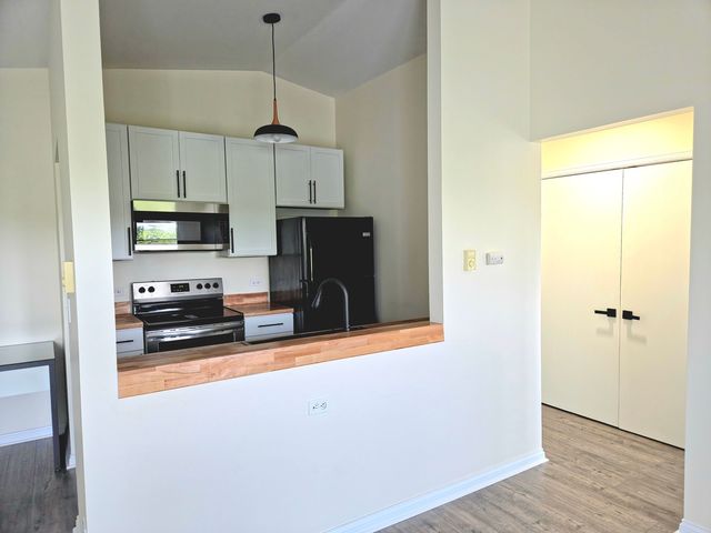 1313 Cunat Court 3F, Lake In The Hills, IL 60156