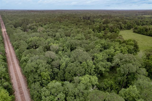 347 Shelby, Livingston, TX 77351