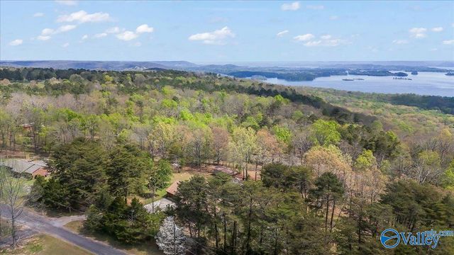 211 Bluff Pointe Road, Guntersville, AL 35976