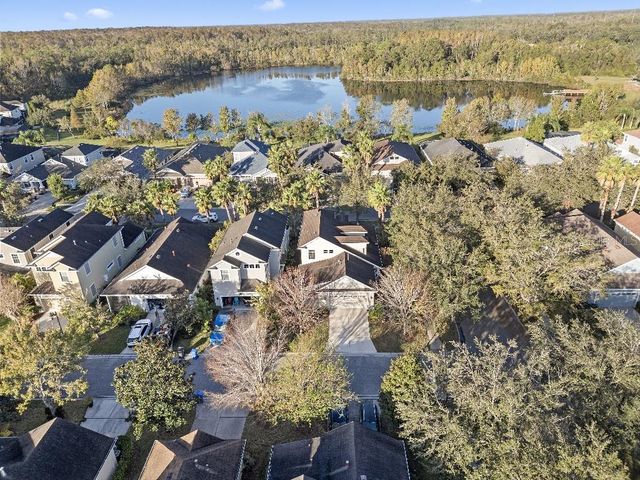 20121 BENDING CREEK PLACE, Tampa, FL 33647