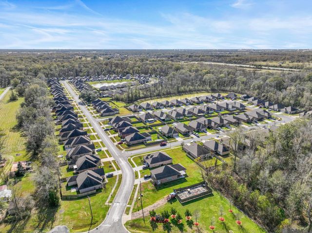 12246 Grand Wood Ave, Gonzales, LA 70737