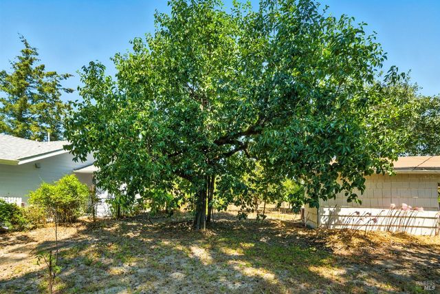 5295 N Hwy 116, Sebastopol, CA 95472