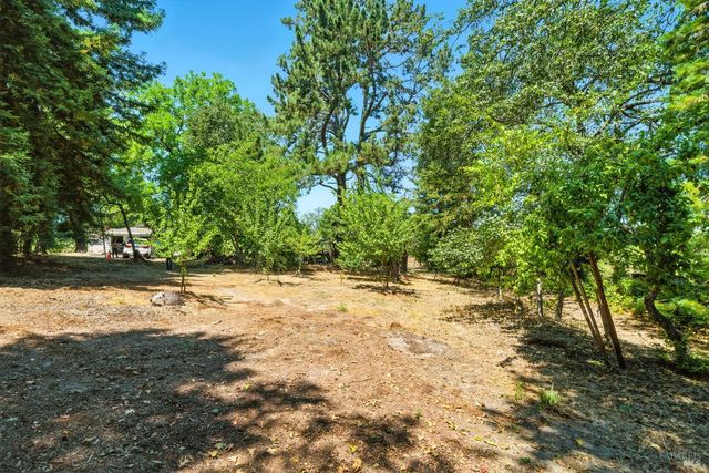 5295 N Hwy 116, Sebastopol, CA 95472