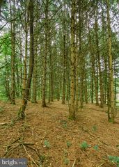 0 MARION DR, Landisburg, PA 17040