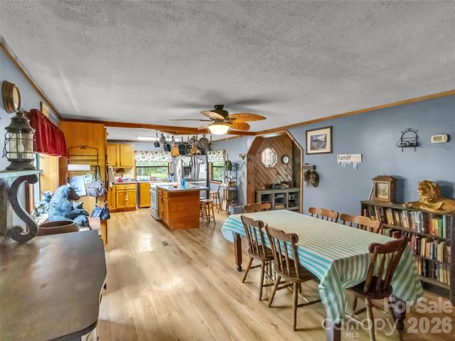 61 Lucy Drive, Canton, NC 28716