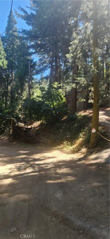 342 Ballenger, Cedarpines Park, CA 92322