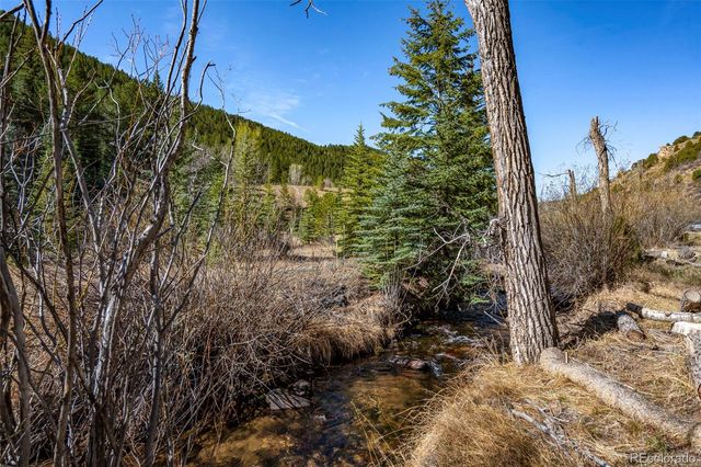 1851 Hwy 103, Idaho Springs, CO 80452