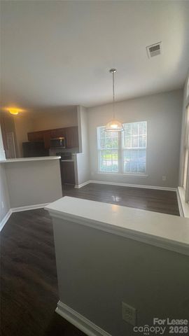 1306 Stourbridge Lion Drive, Charlotte, NC 28213