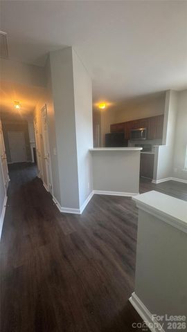 1306 Stourbridge Lion Drive, Charlotte, NC 28213