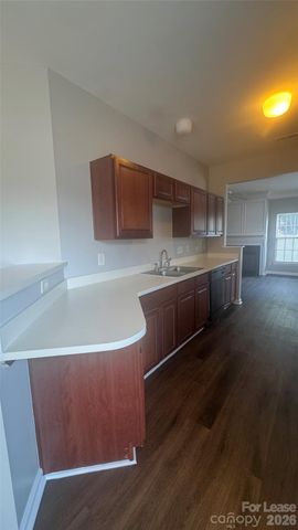 1306 Stourbridge Lion Drive, Charlotte, NC 28213