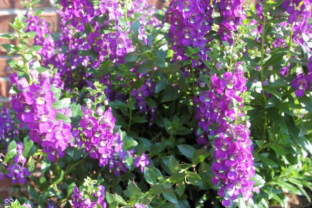 411 Westchester Boulevard, Noblesville, IN 46062