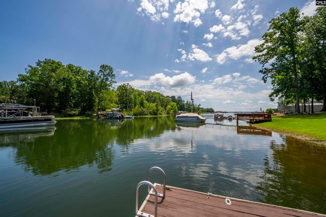 123 Waxhaws Trace, Chapin, SC 29036