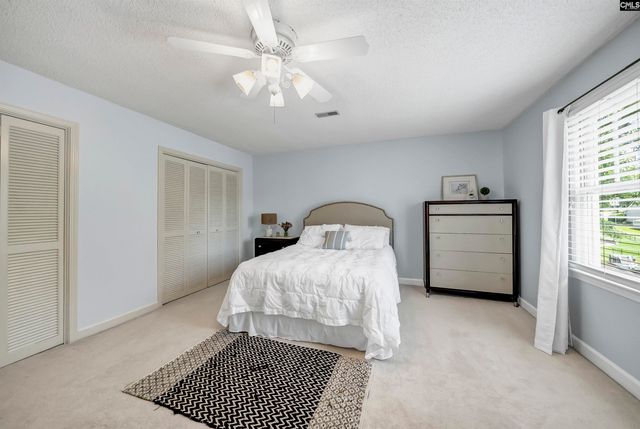 123 Waxhaws Trace, Chapin, SC 29036