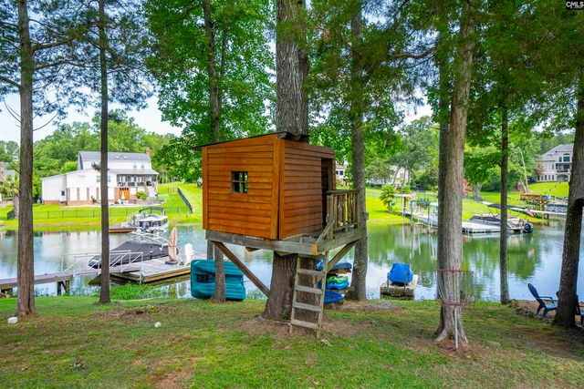123 Waxhaws Trace, Chapin, SC 29036
