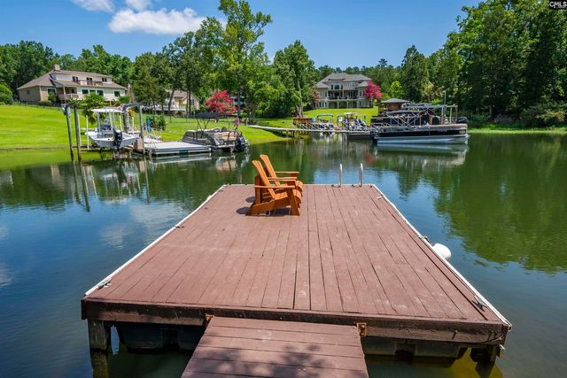 123 Waxhaws Trace, Chapin, SC 29036