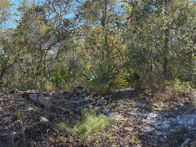 MCBRIDE AVENUE, Deltona, FL 32725