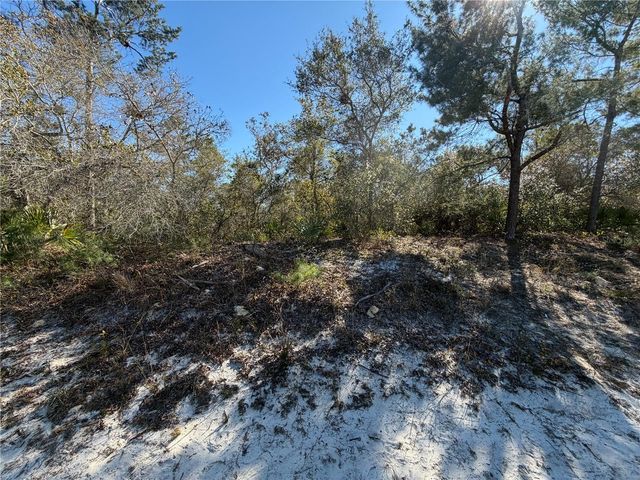 MCBRIDE AVENUE, Deltona, FL 32725