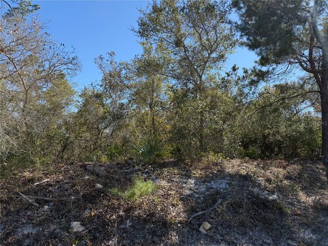 MCBRIDE AVENUE, Deltona, FL 32725