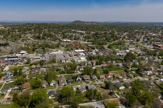 424 Hamilton Street, Johnson City, TN 37604