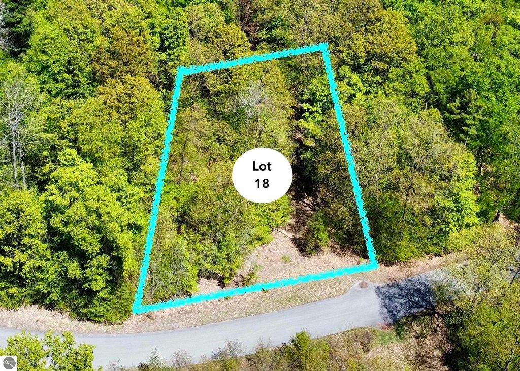 Lot 18 S Club Drive, Cedar, MI 49621