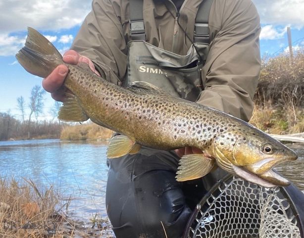 67 Upper Rainbow Road, Bozeman, MT 59718