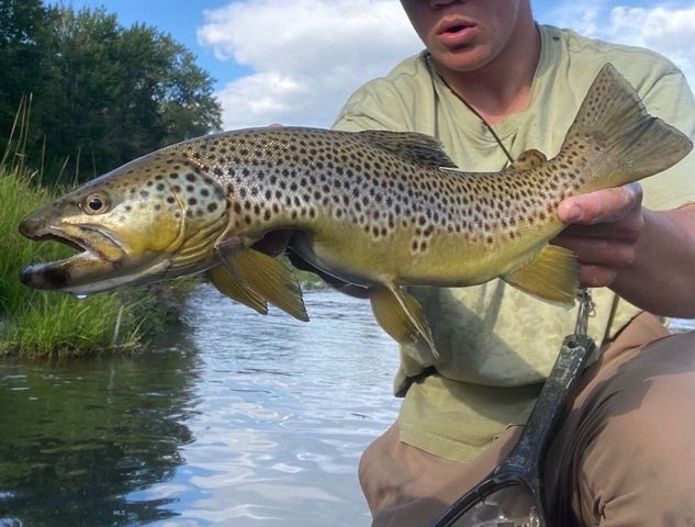 67 Upper Rainbow Road, Bozeman, MT 59718