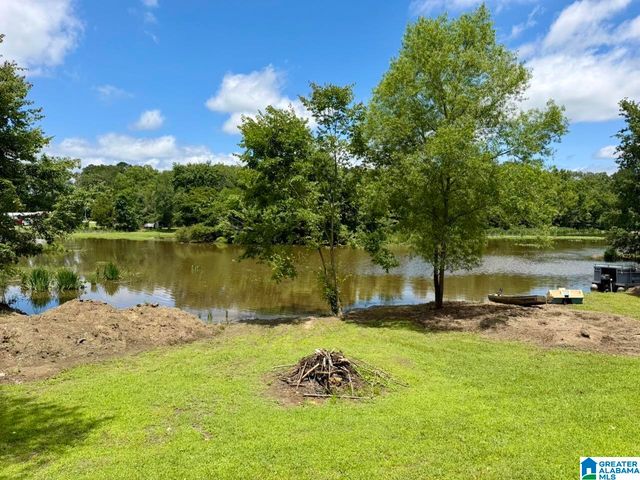 1140 SHORE DRIVE, Ashville, AL 35953