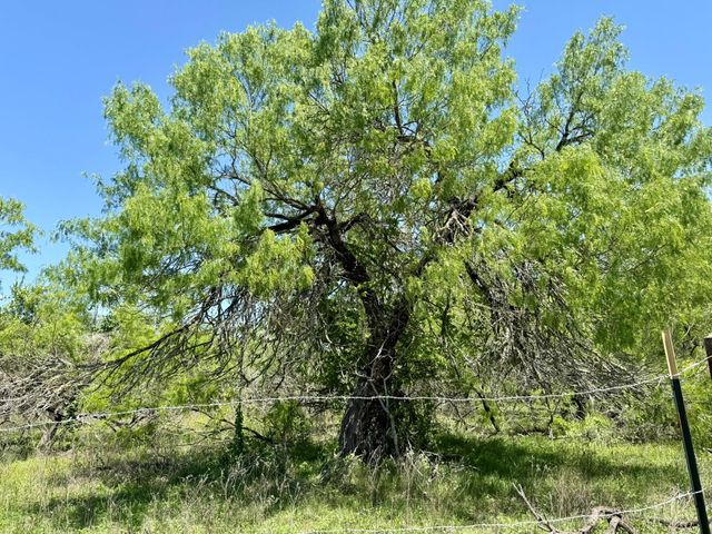 TBD Acorn RD 2, Lockhart, TX 78644