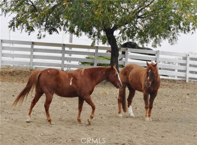 8900 Wight Way, Kelseyville, CA 95451