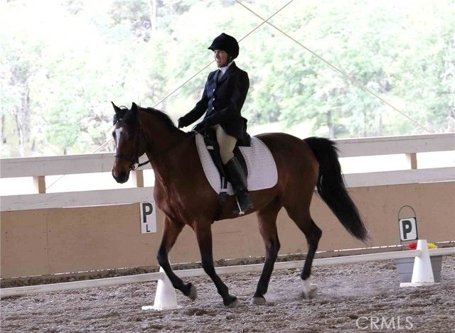 8900 Wight Way, Kelseyville, CA 95451