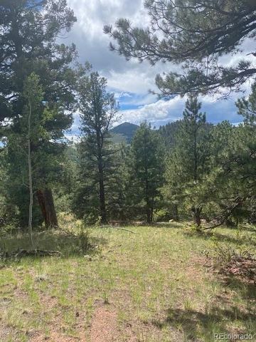 216 & 252 Troy Drive, Cripple Creek, CO 80813