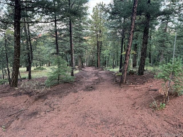 216 & 252 Troy Drive, Cripple Creek, CO 80813