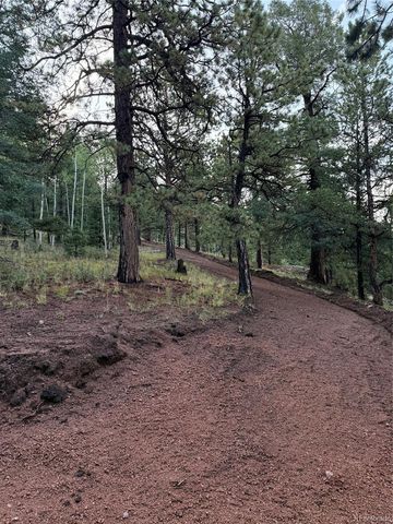 216 & 252 Troy Drive, Cripple Creek, CO 80813